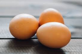 Egg